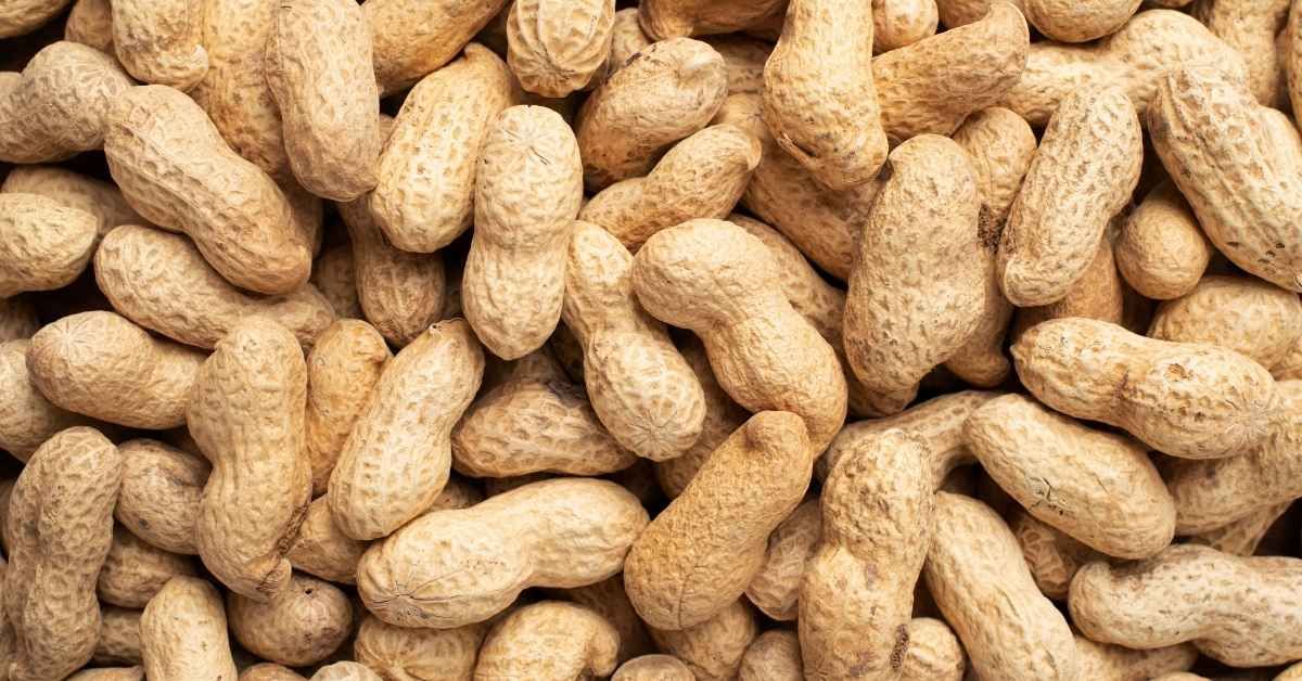 Alimenti ad alto contenuto di nichel: arachidi
