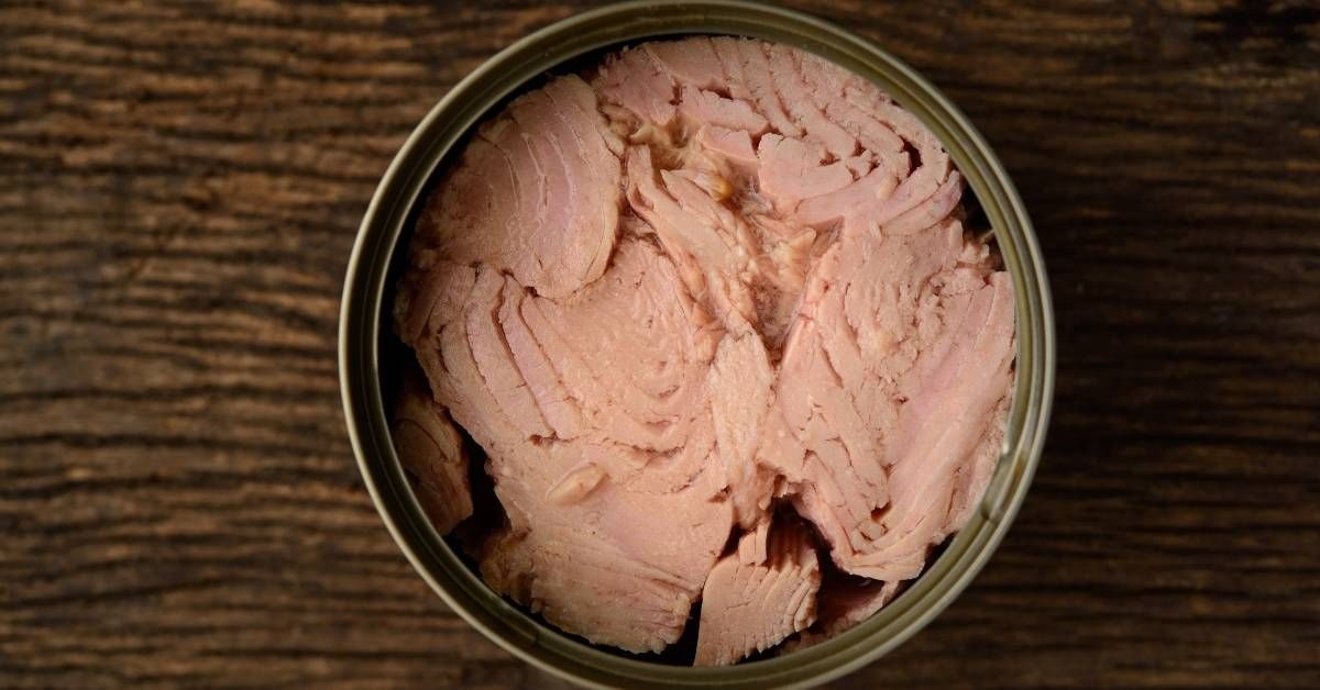 Benefici e controindicazioni del tonno in scatola