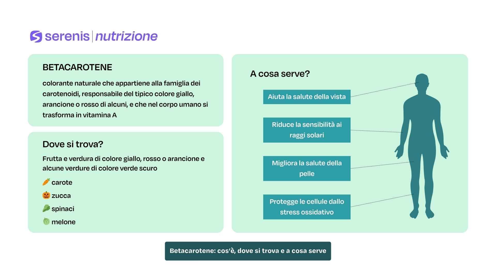 Betacarotene: cos’è, dove si trova e a cosa serve