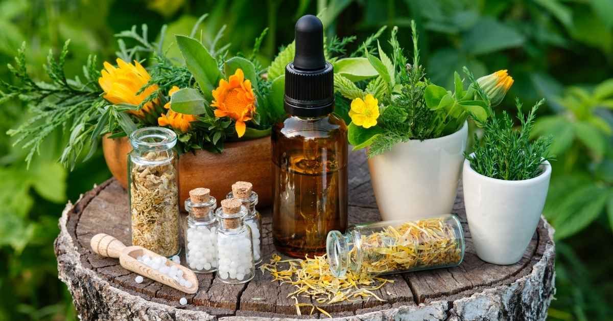 Fitoterapia cosa cura