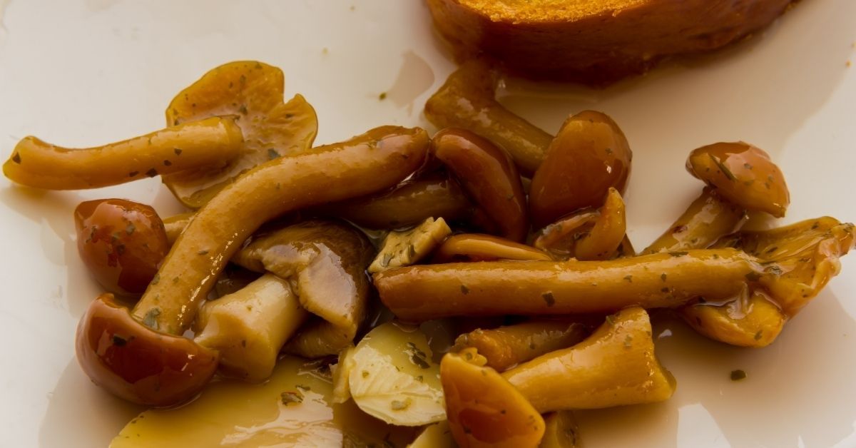 Funghi sott'olio in allattamento