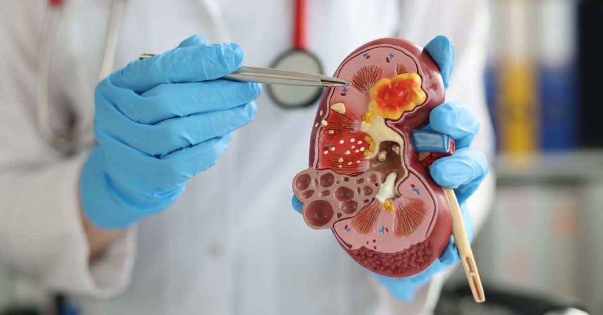 Funzionalità renale