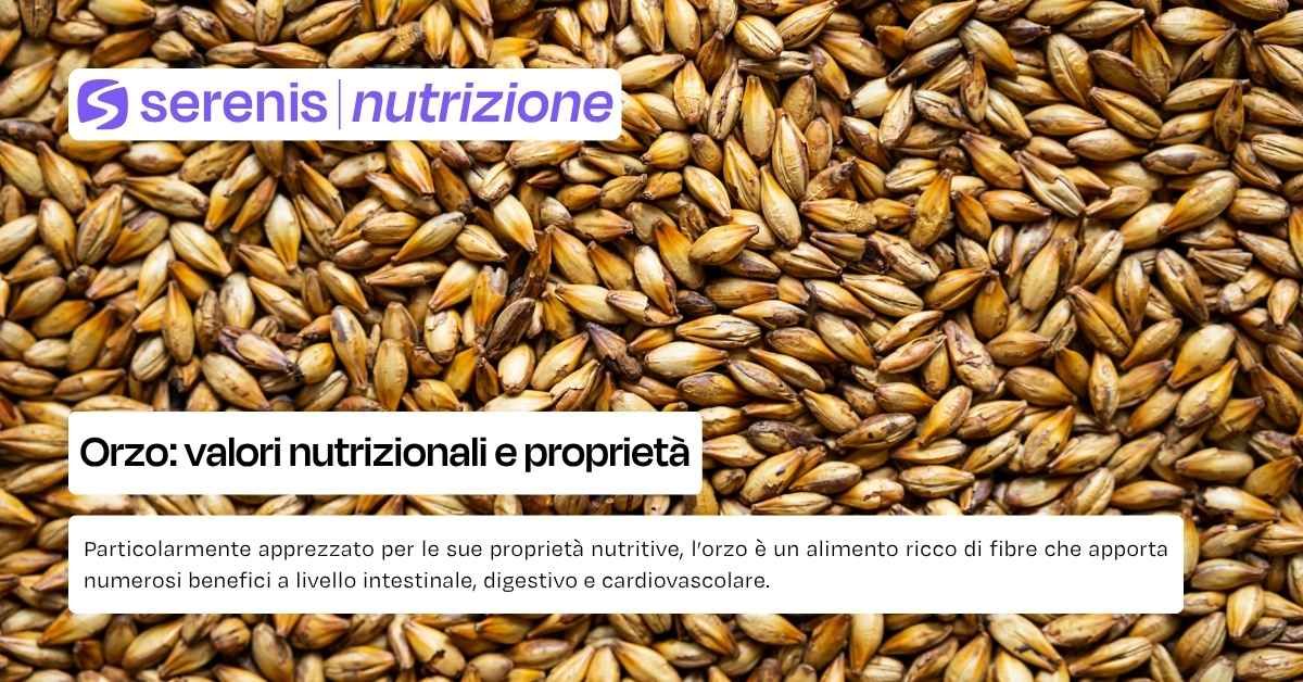 Orzo