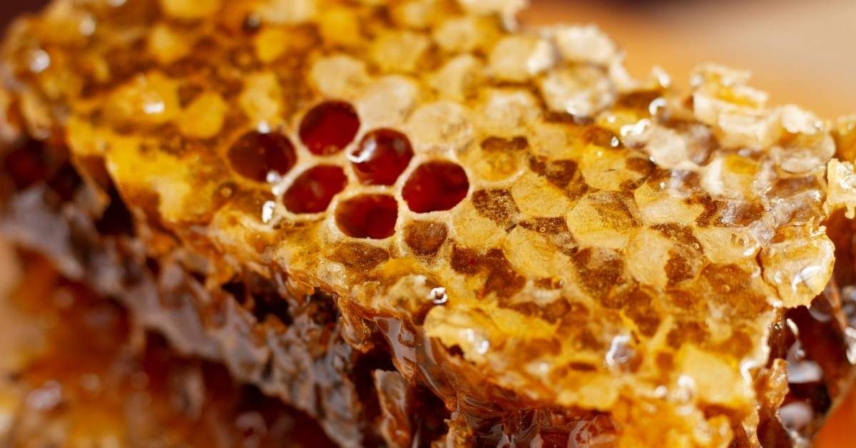 Pappa reale benefici