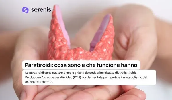 Paratiroidi