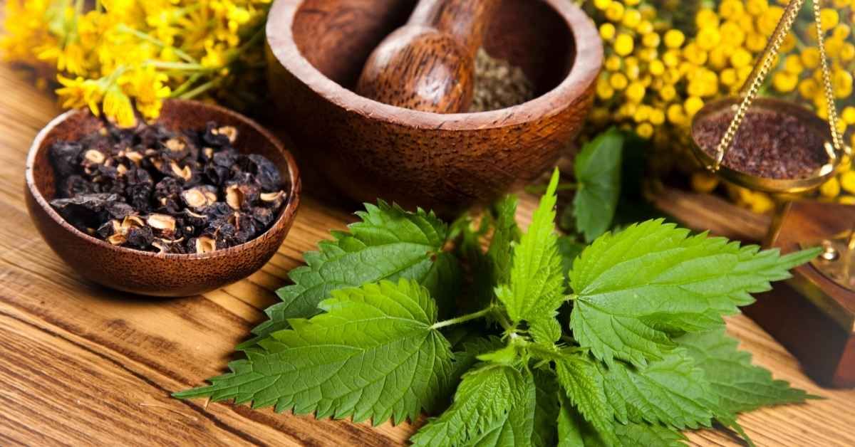 Rimedi naturali per la nausea