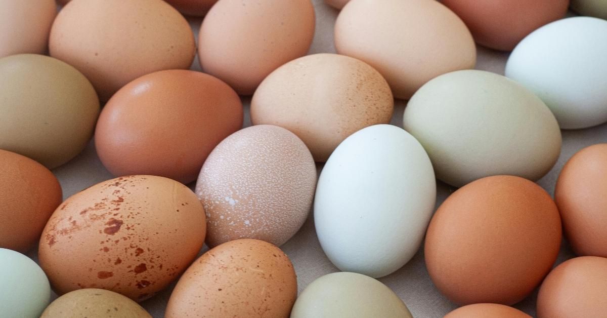 Si possono mangiare le uova tutti i giorni?