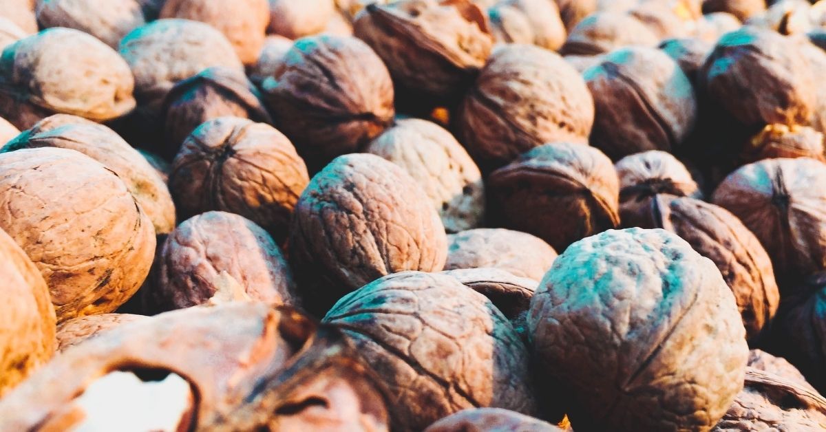 alimenti ricchi di magnesio