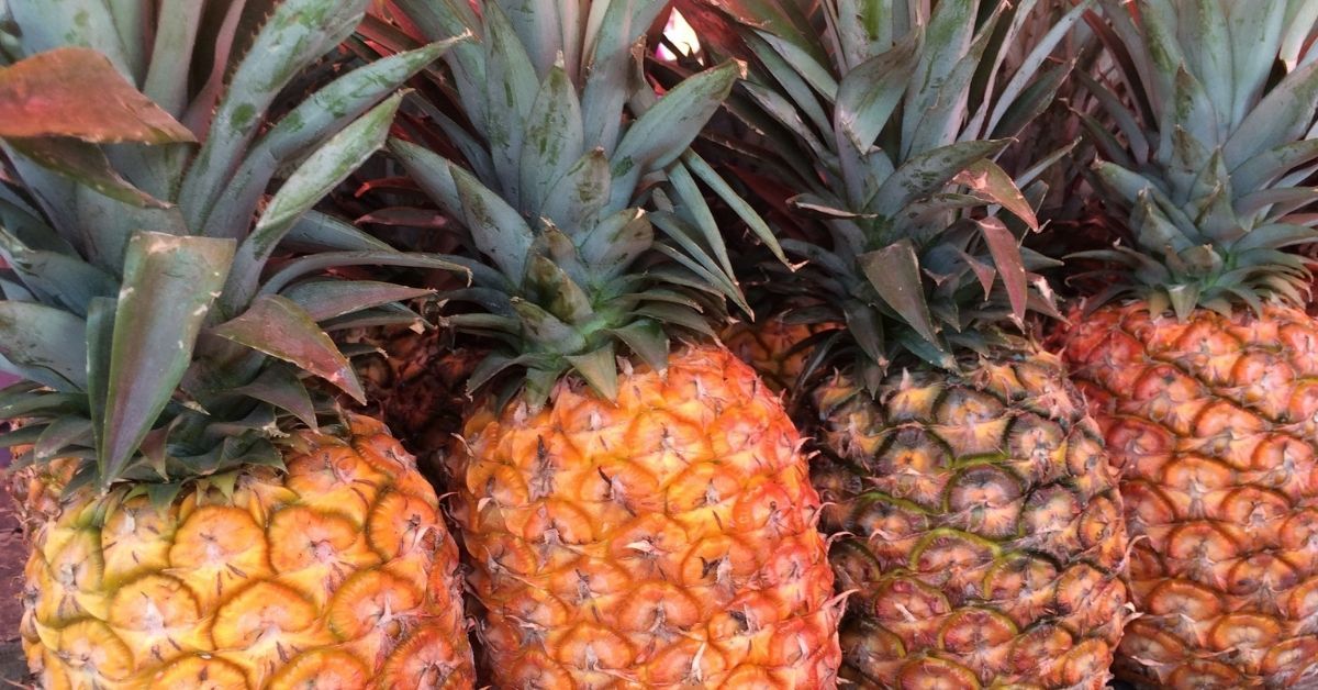 ananas