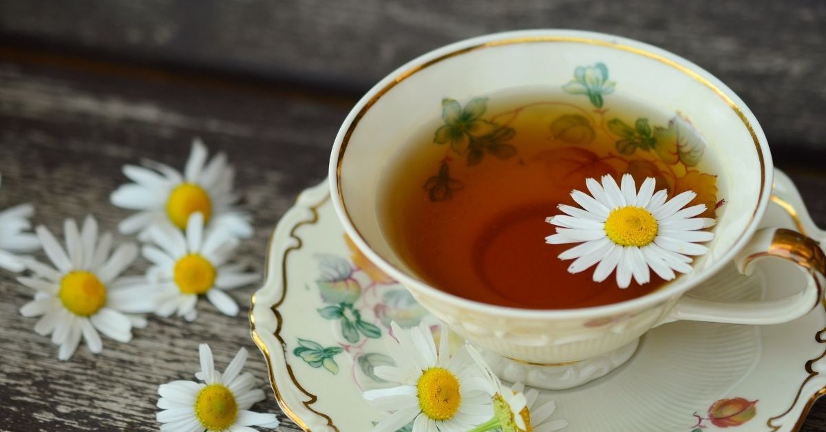 camomilla in gravidanza