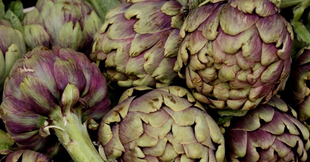 carciofi