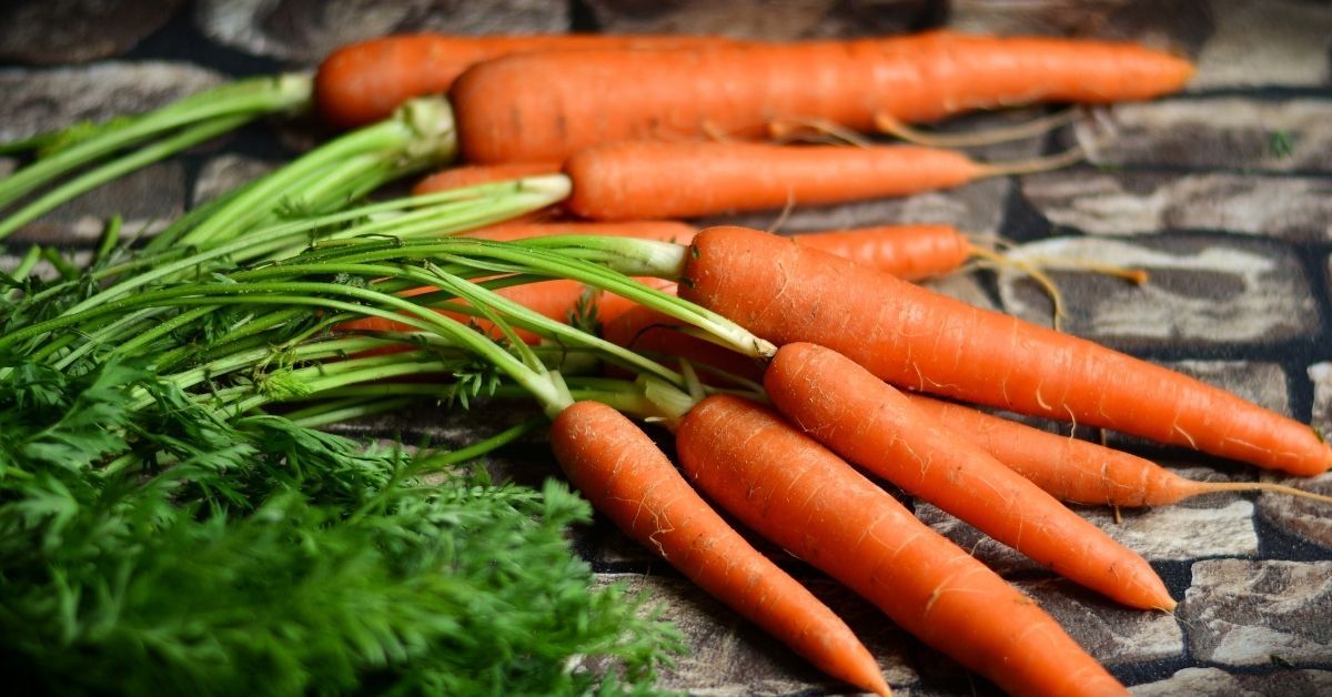 carotenoidi