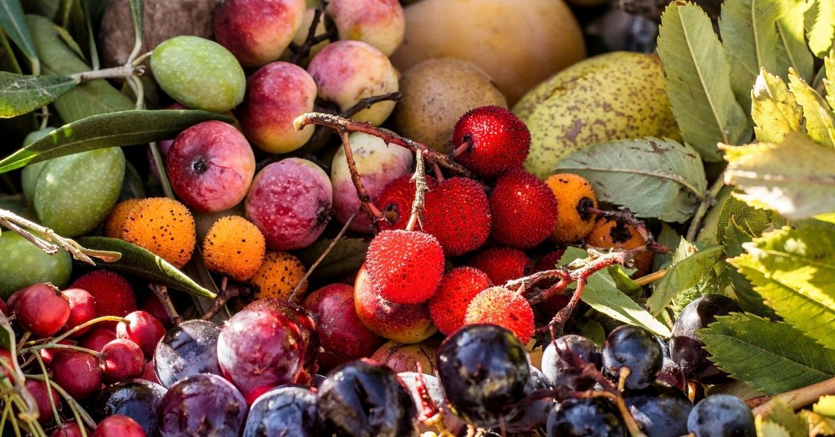 cibi ricchi di antiossidanti