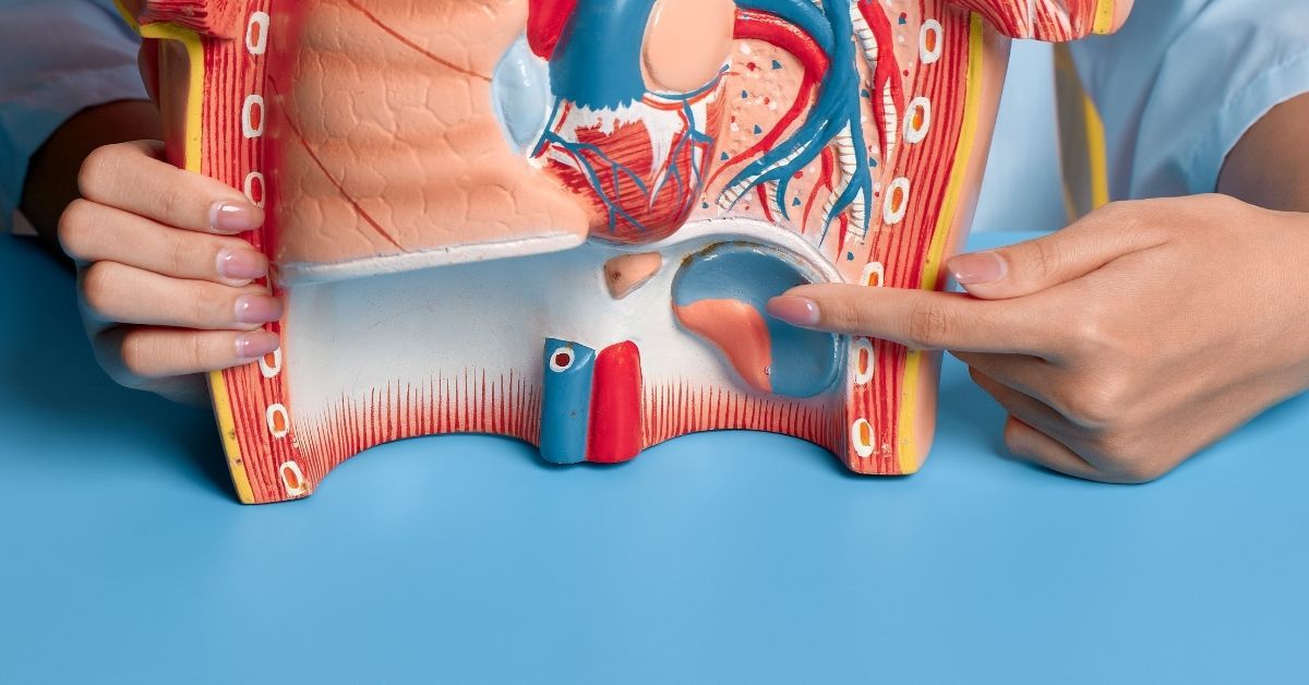 dieta per creatinina alta