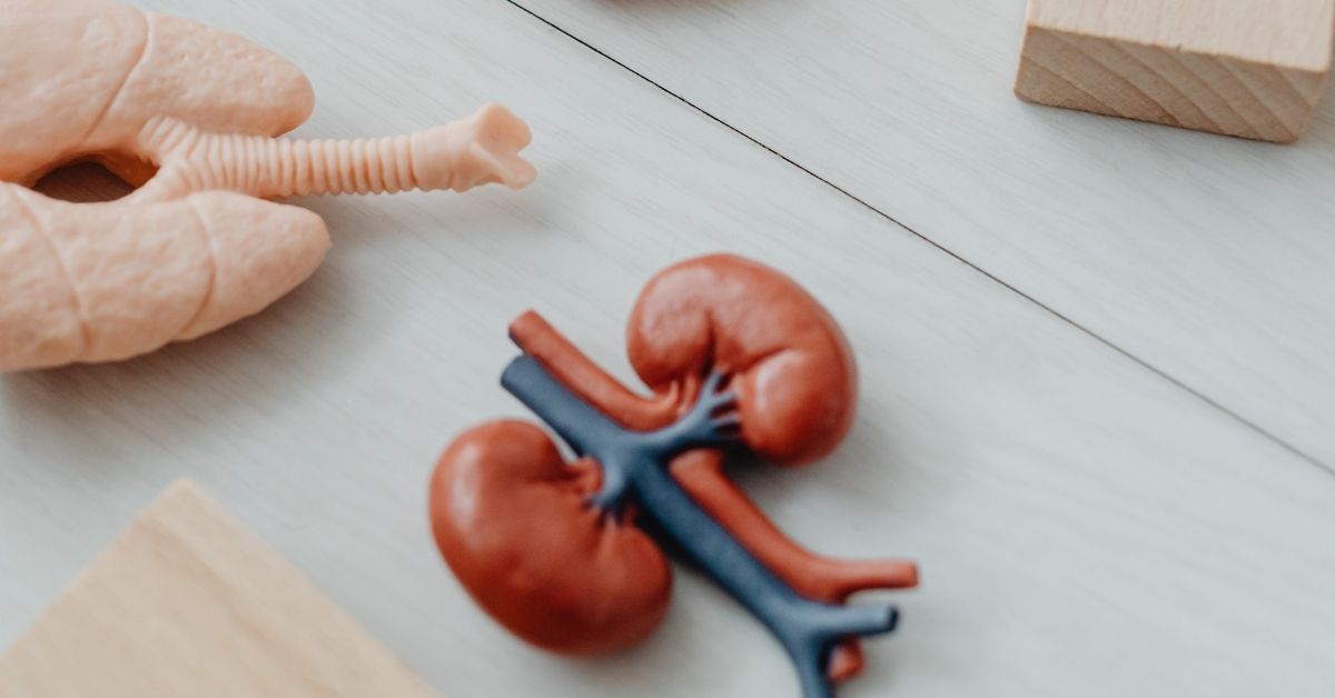 dieta per insufficienza renale