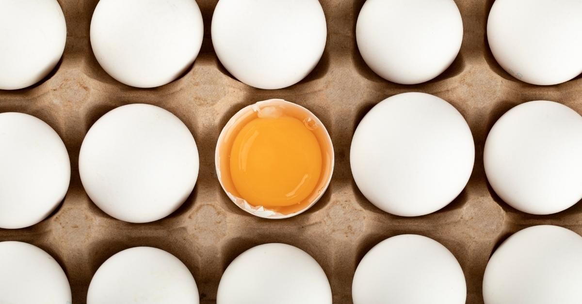 elenco codici allevamento uova