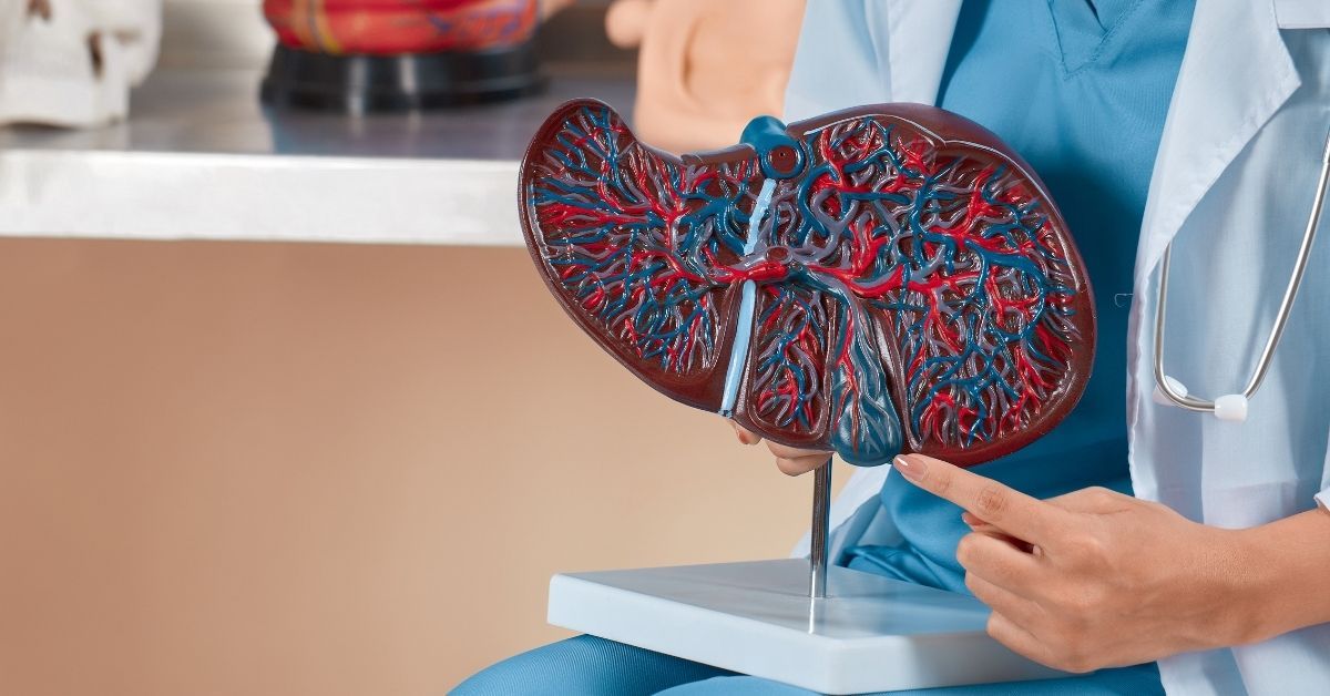 fosfatasi alcalinica