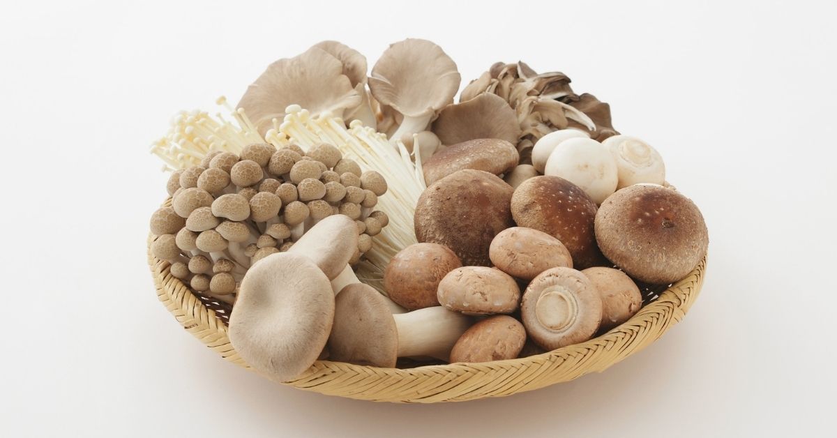 funghi in gravidanza