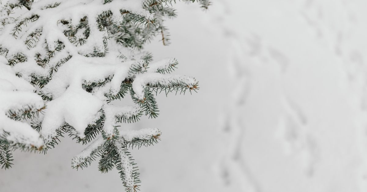 il freddo fa dimagrire (2).jpg