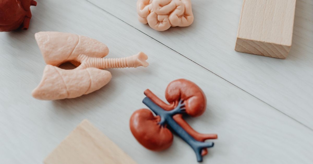 insufficienza renale