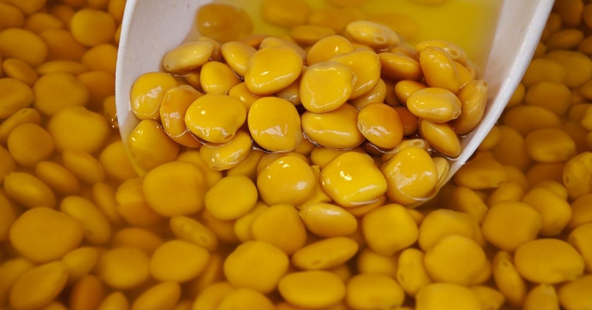 lupini