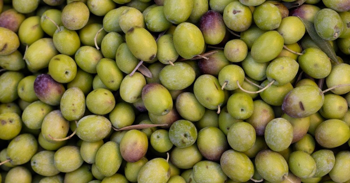 lupini in gravidanza