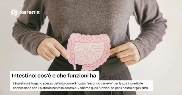Intestino_b5fd9e305a.webp