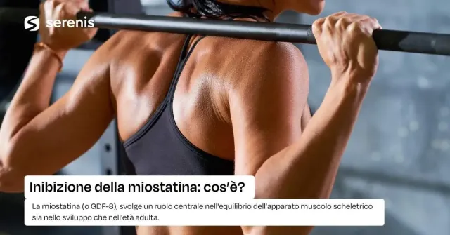Inibizione della miostatina: a cosa serve?