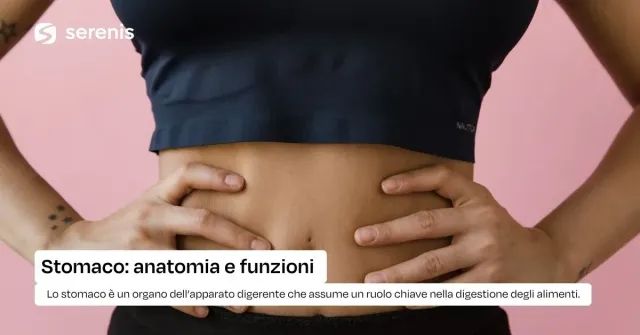 Stomaco
