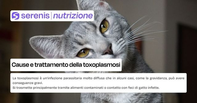 toxoplasmosi