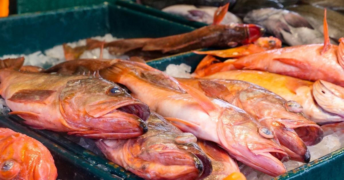 quante volte mangiare pesce a settimana