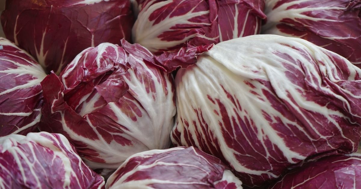 radicchio