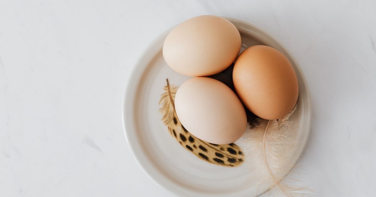 salmonella in gravidanza