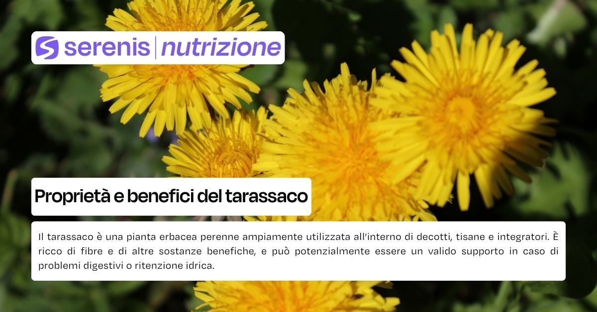 tarassaco