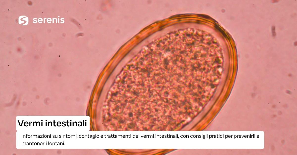 Vermi intestinali