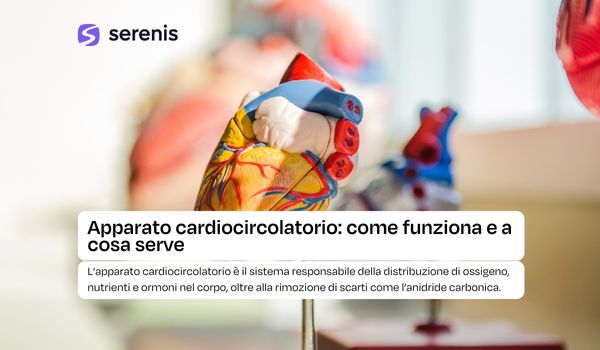 apparato cardiocircolatorio